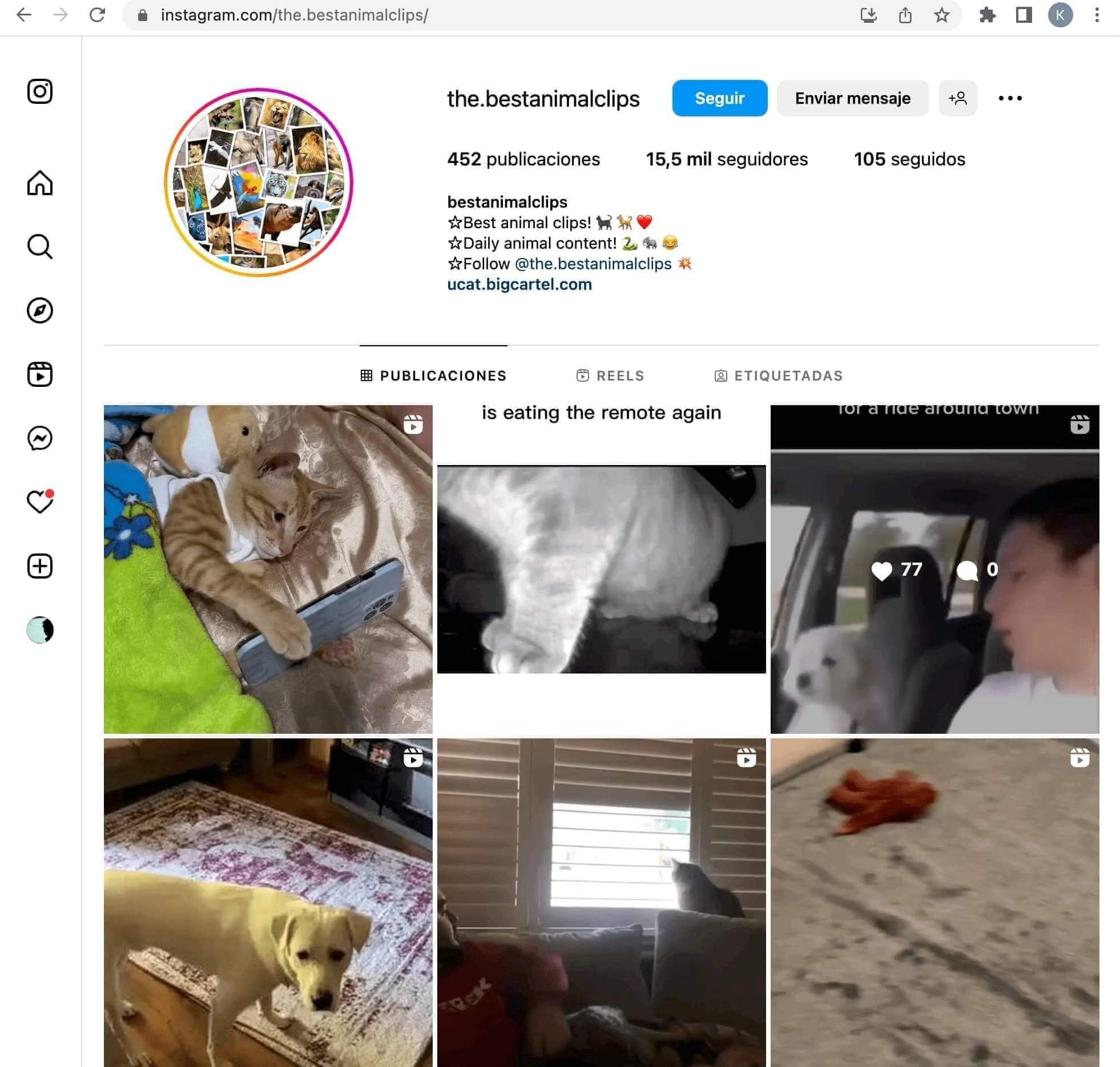Ejemplo diseño de usuario instagram