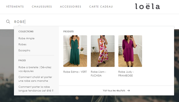 Moteur de recherche interne Loela