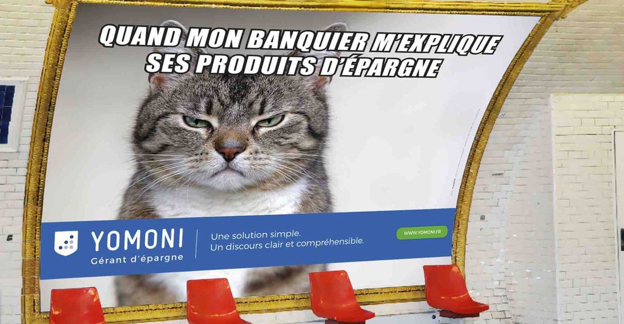 meme contenu internet