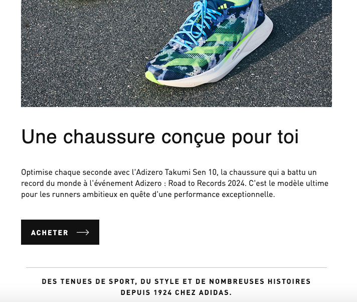 newsletter adidas