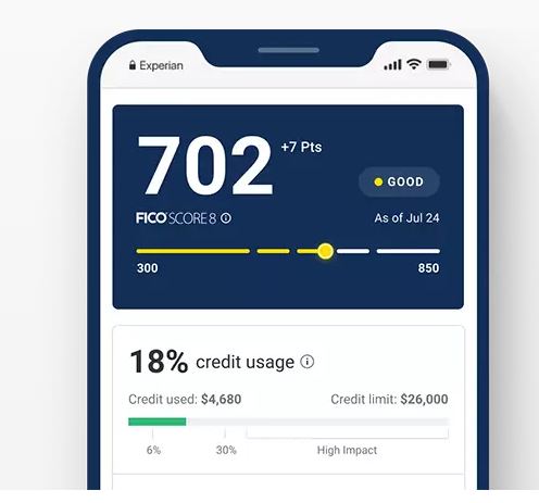 Ejemplo de NPS: Experian