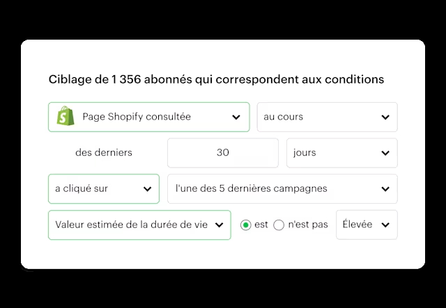 mailchimp segmentation emailing
