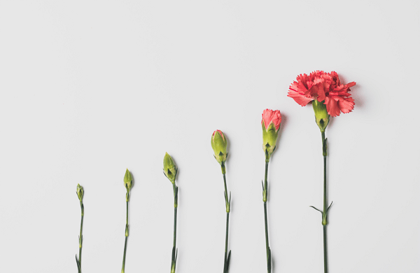 RSE représenté par une fleur qui éclot