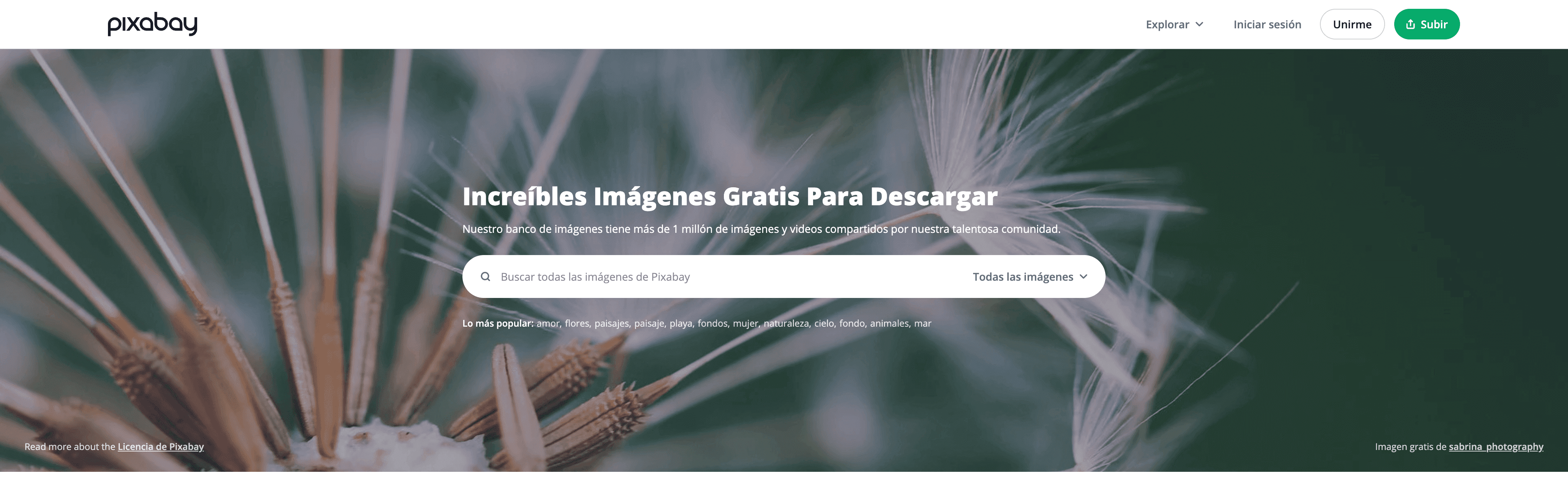 Herramientas para blog: Pixabay