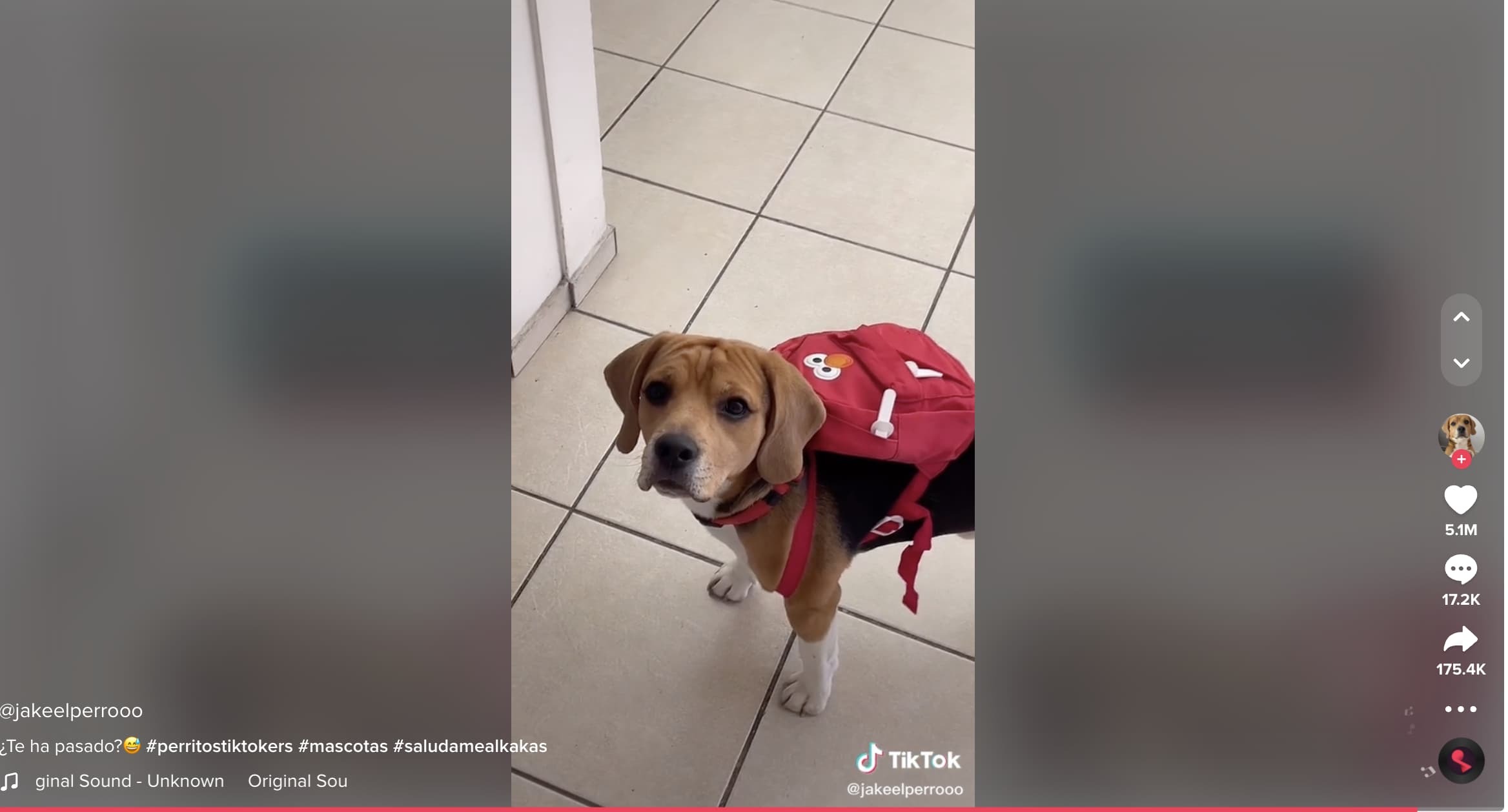 Ejemplo de público objetivo de TikTok