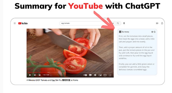 summary for You Tube