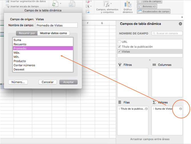 Cómo hacer una tabla dinámica en Excel: configuración de campo