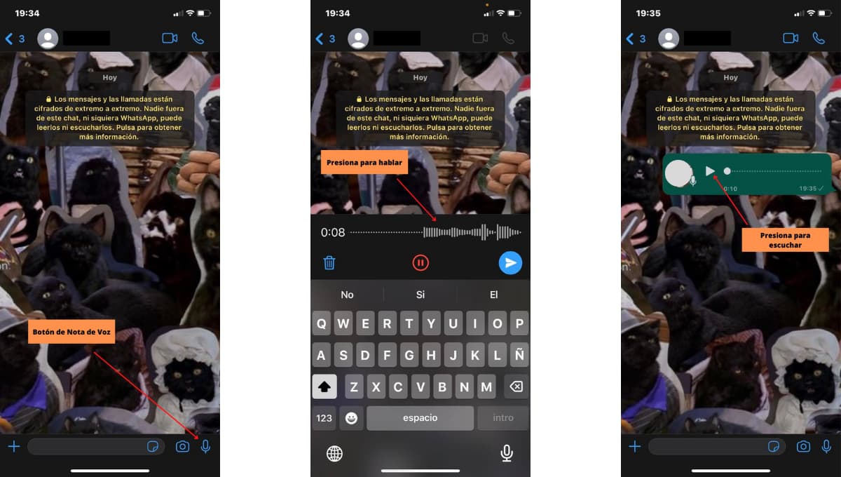 Cómo mandar nota de voz por WhatsApp a un cliente
