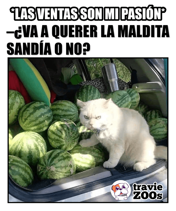 Meme sobre el entusiasmo por las ventas