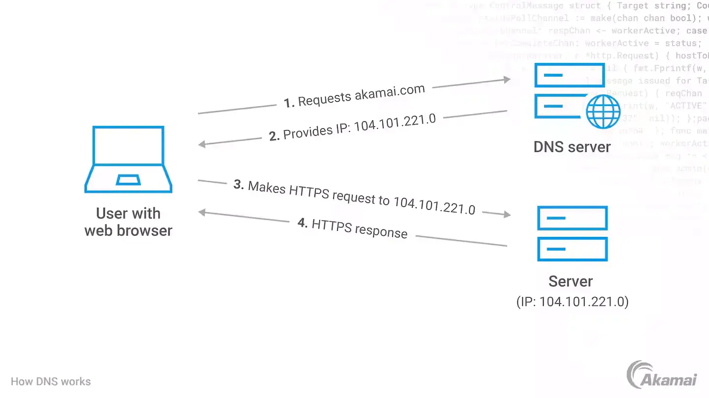 DNS workflow, User connects to ̽ѡ through DNS server