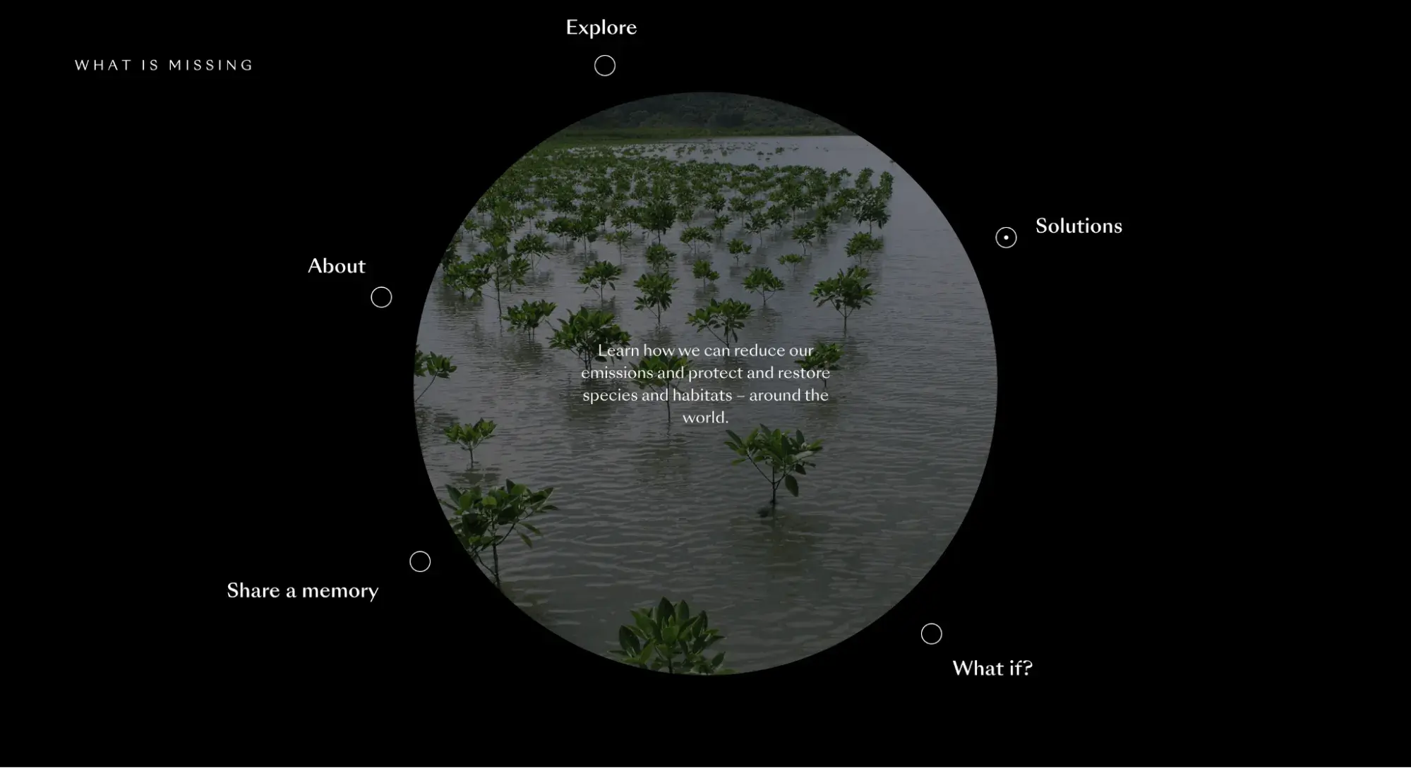 screenshot of a circle-based website layout
