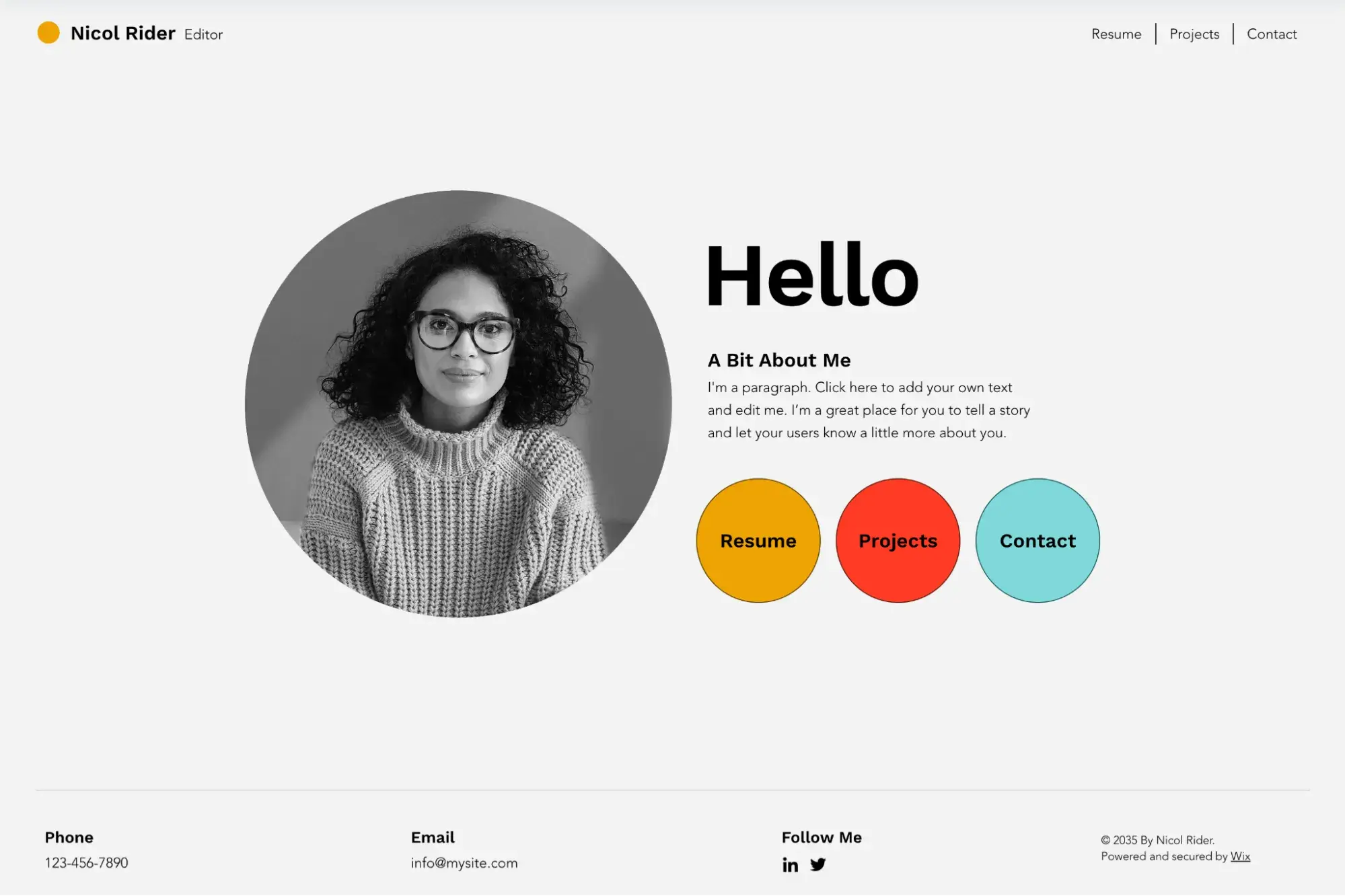 screenshot of a cv or resume website layout