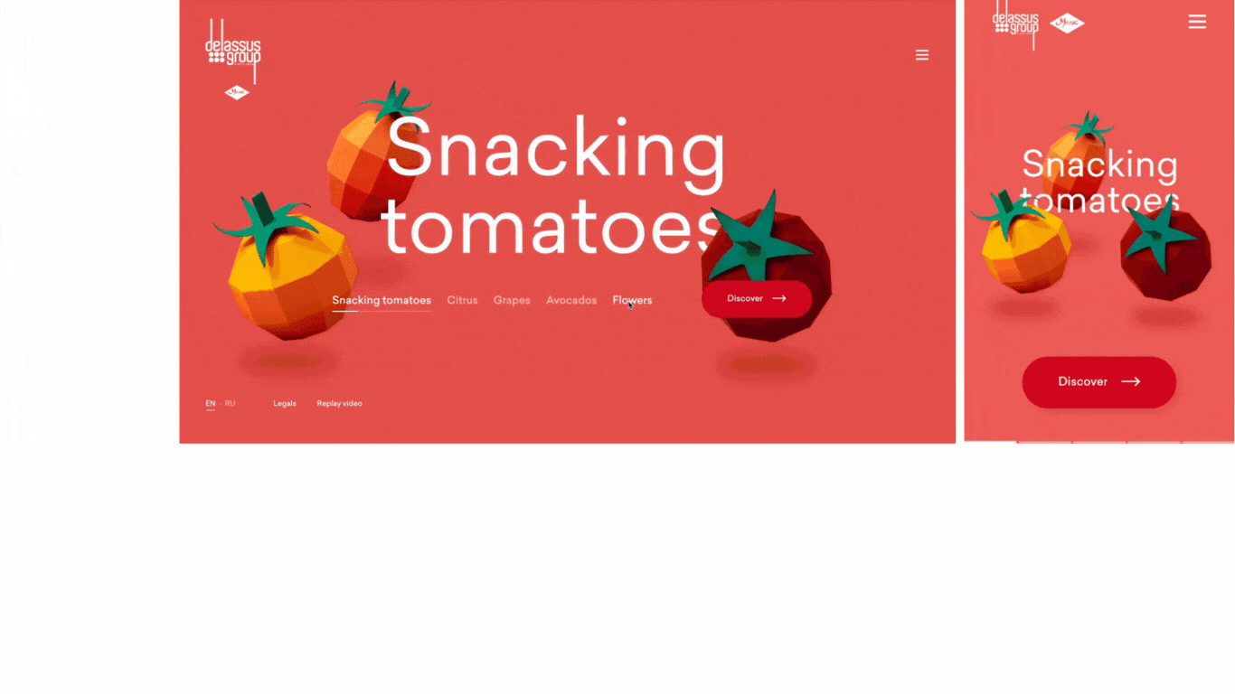parallax website examples: delassus group