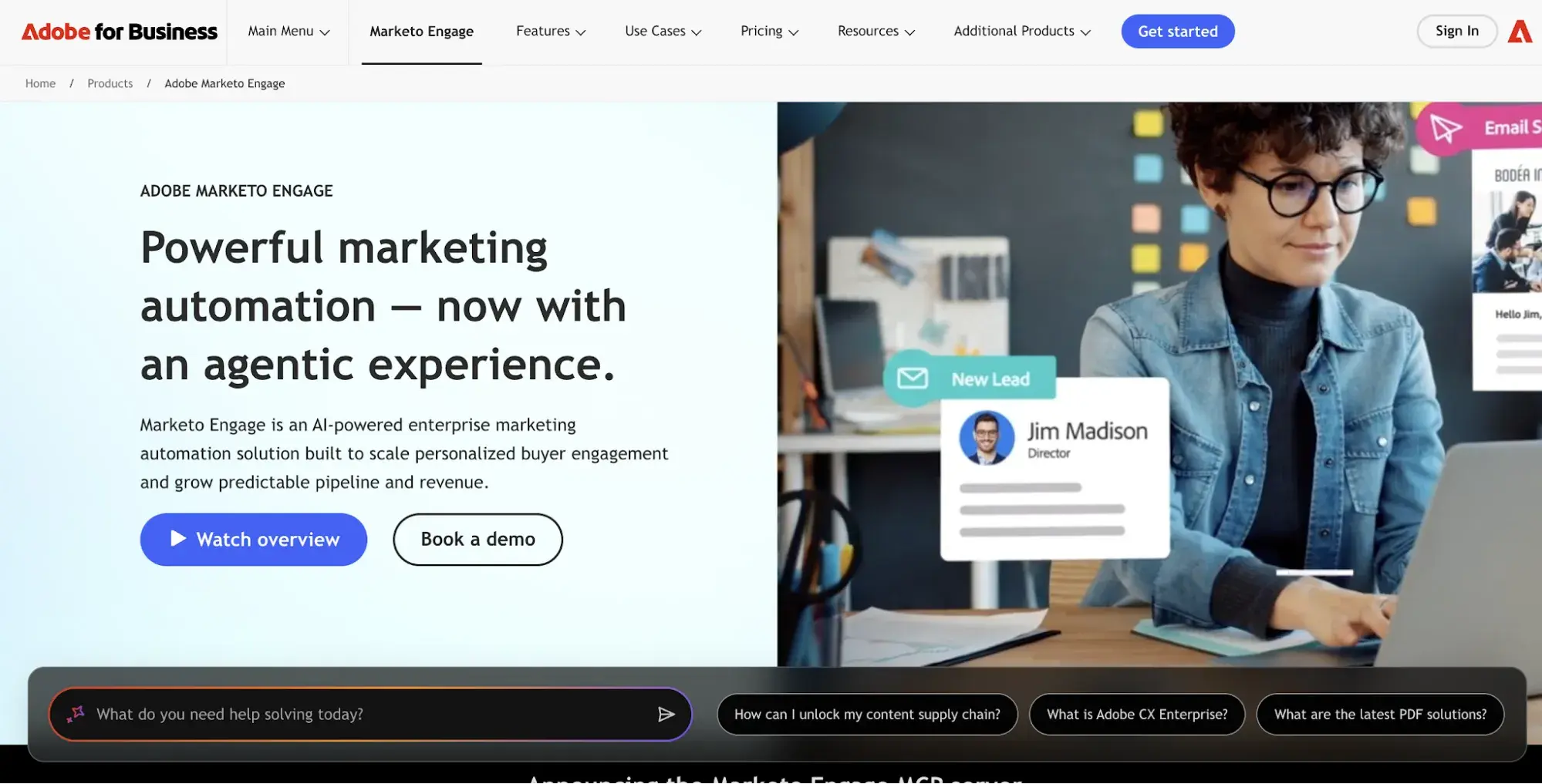adobe marketo engage screenshothttps://business.adobe.com/products/marketo.html