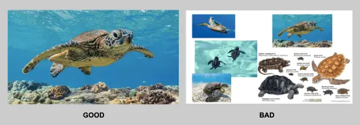 good vs bad powerpoint example, simple versus cluttered