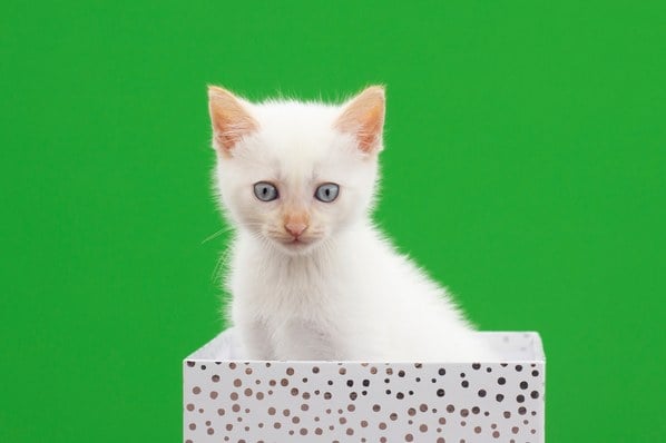 9 Ways Salespeople Can Provide Value to Prospects at Every Stage of the Buyer’s Journey