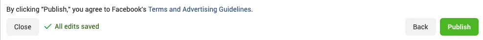 To start gaining traction with your ad, now its time to hit Publish
