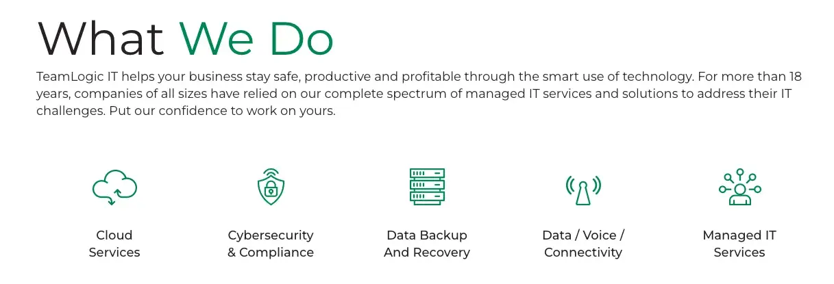 teamlogics offerings as listed on their website