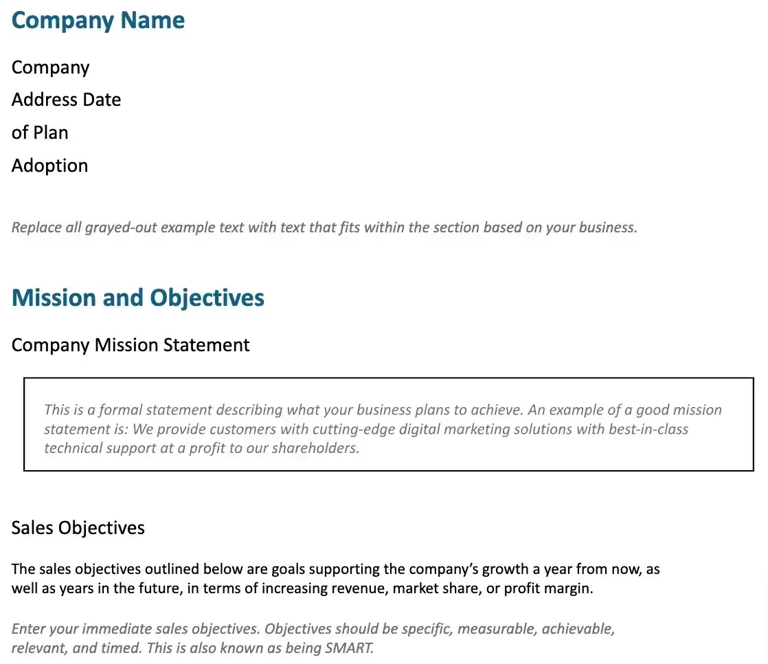a screenshot of a page from FitSmallBusiness Small Business Sales Plan template
