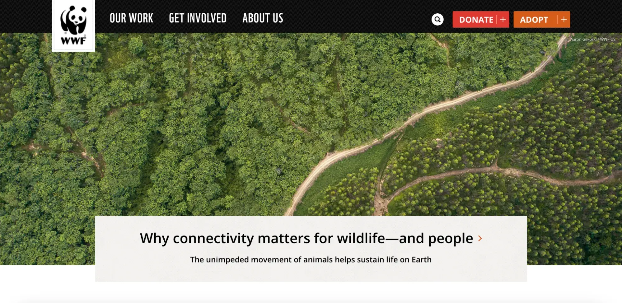 primary and secondary navigation example: world wildlife foundation