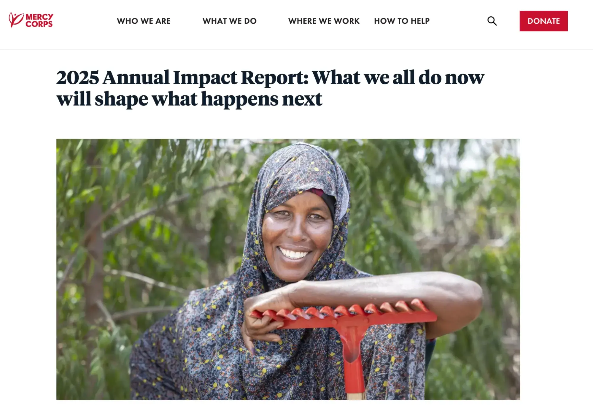 adding annual reports is a crucial part of seo for nonprofits