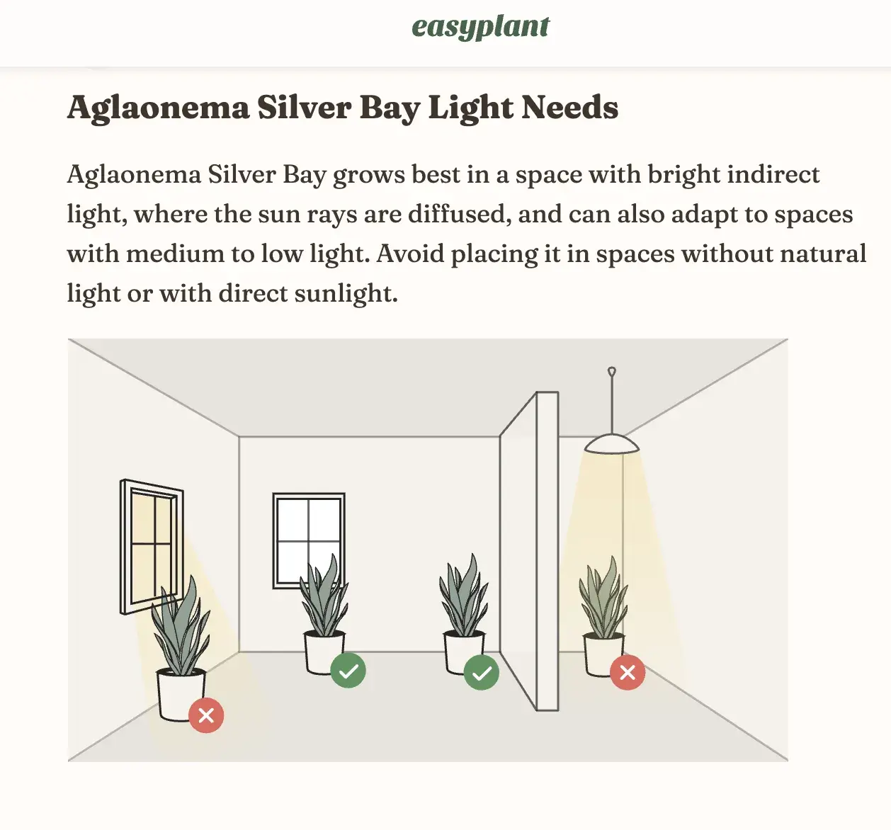 easyplant lighting requirements infographic with illustrated room showing four plant positions and green checkmark or red x indicators
