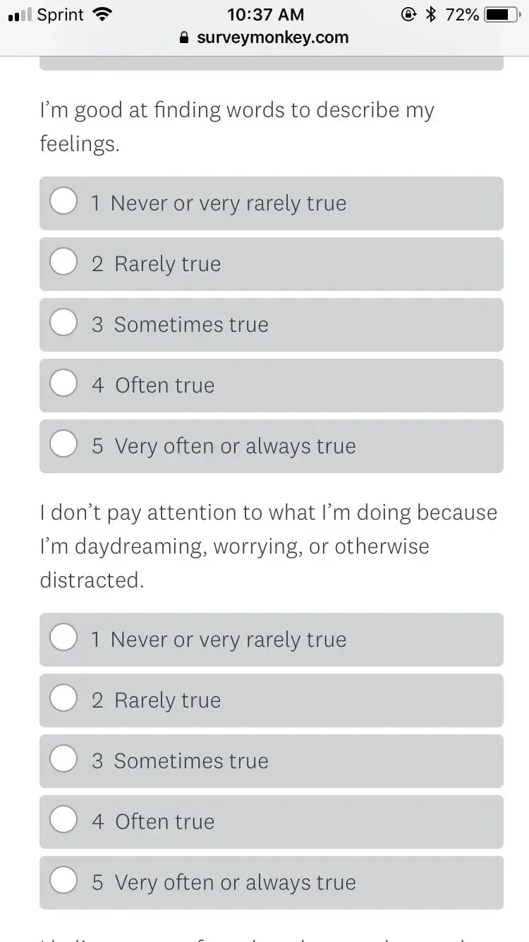questionnaire example: demographic psychographic questionnaire