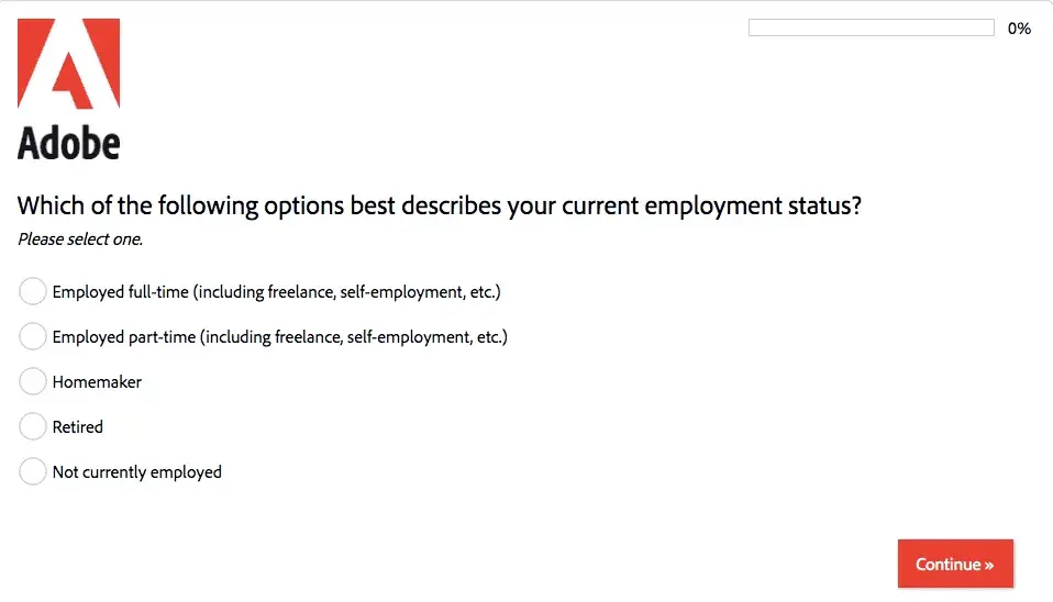 questionnaire example: adobe demographic survey