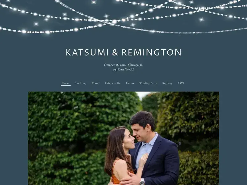 types of website examples, the knot wedding website example