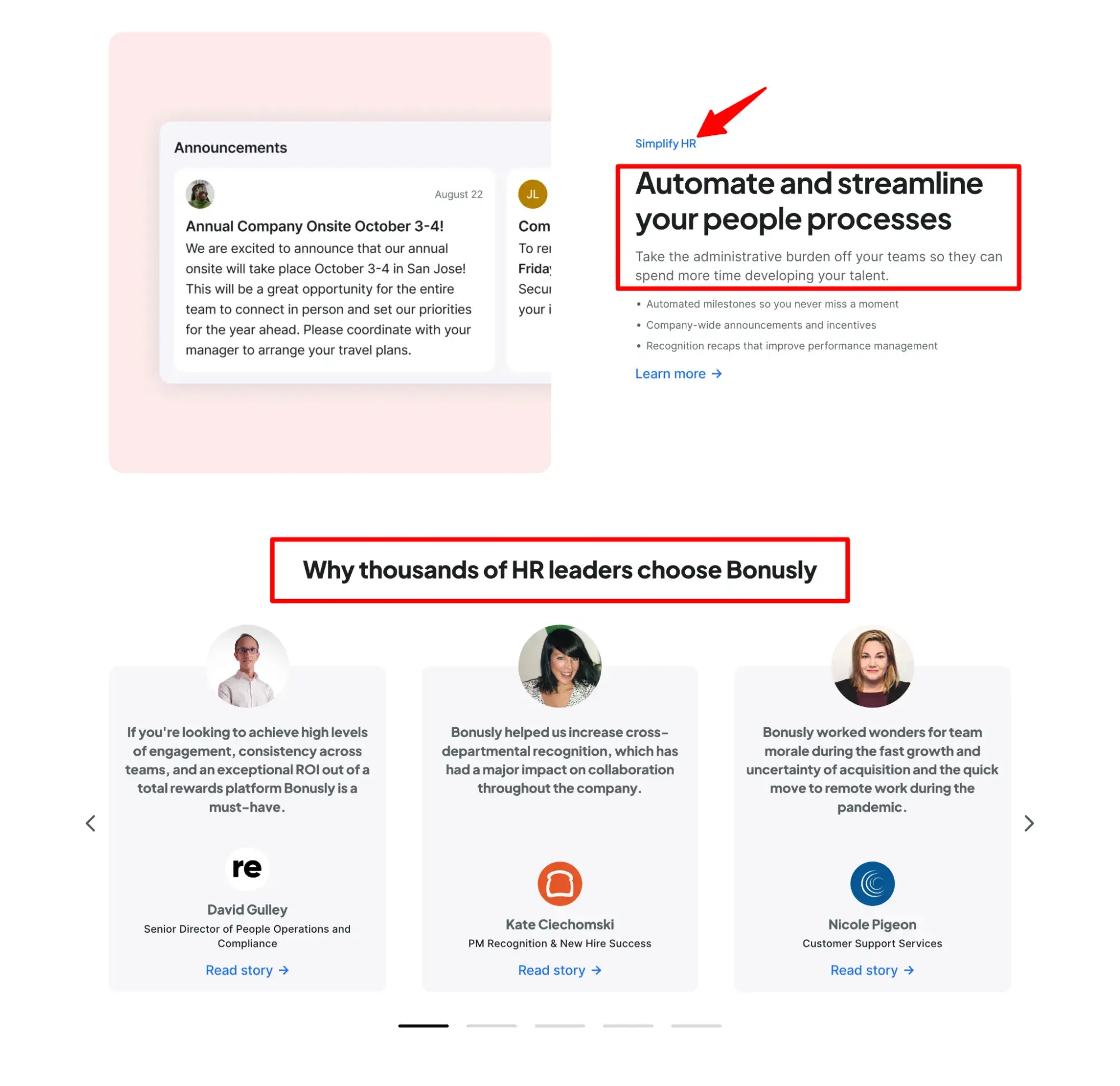 bonuslys website based on its buyer personas
