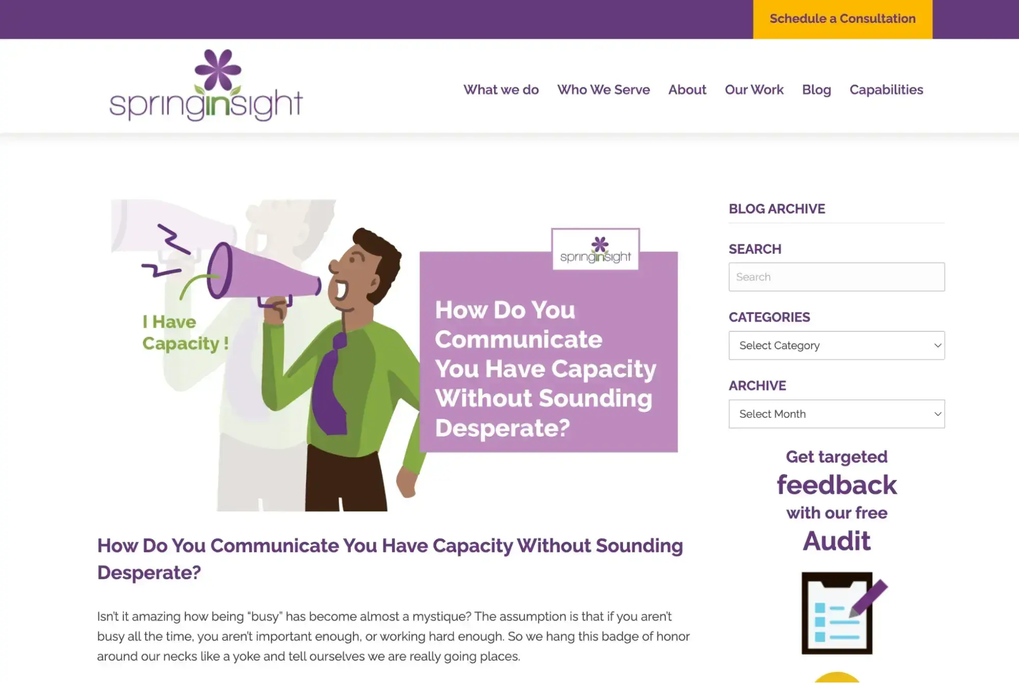 website content idea from spring insight marketing website