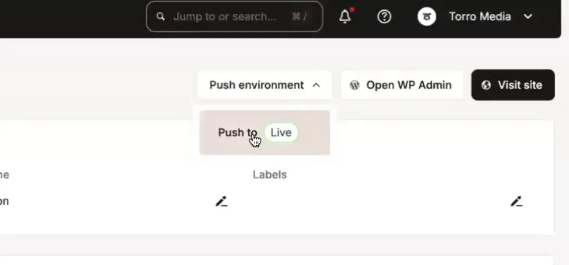 the push to live button in kinsta