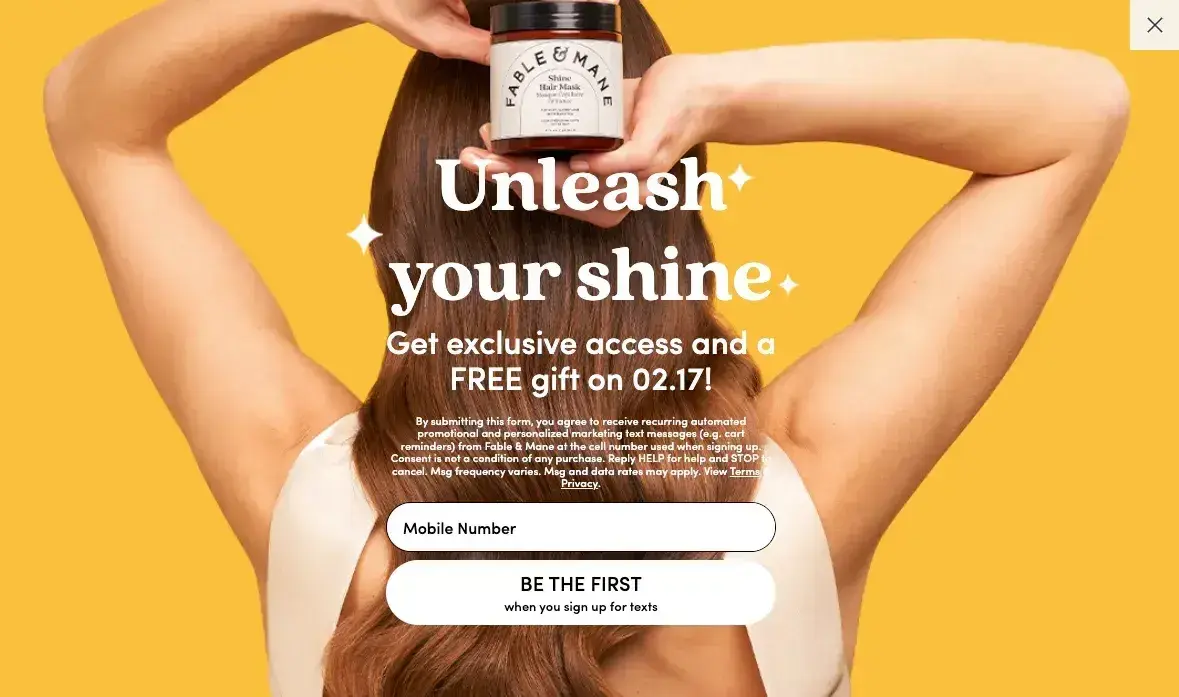 website pop-up examples: fable and mane