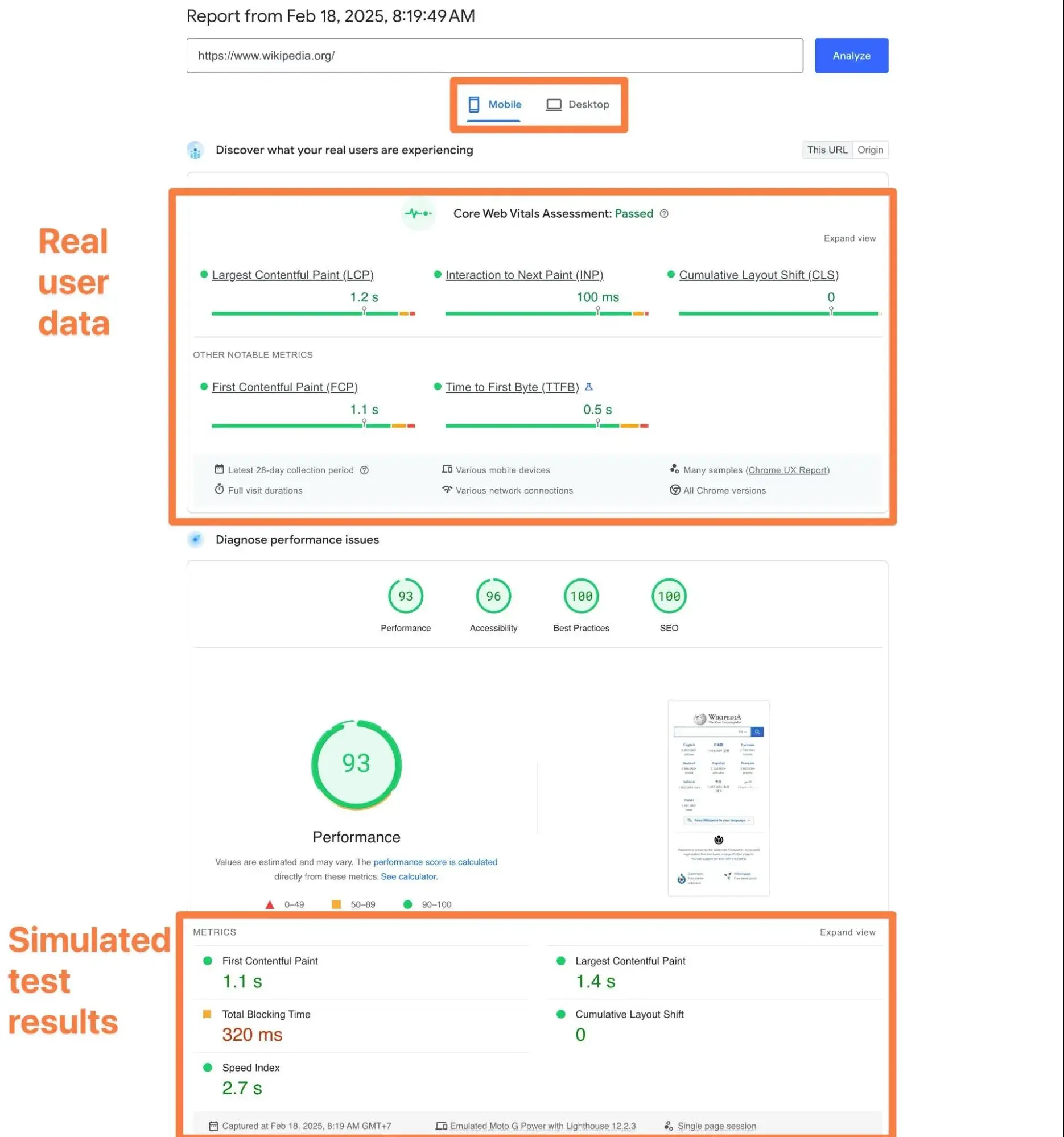 an example of website performance results from google pagespeed insights.