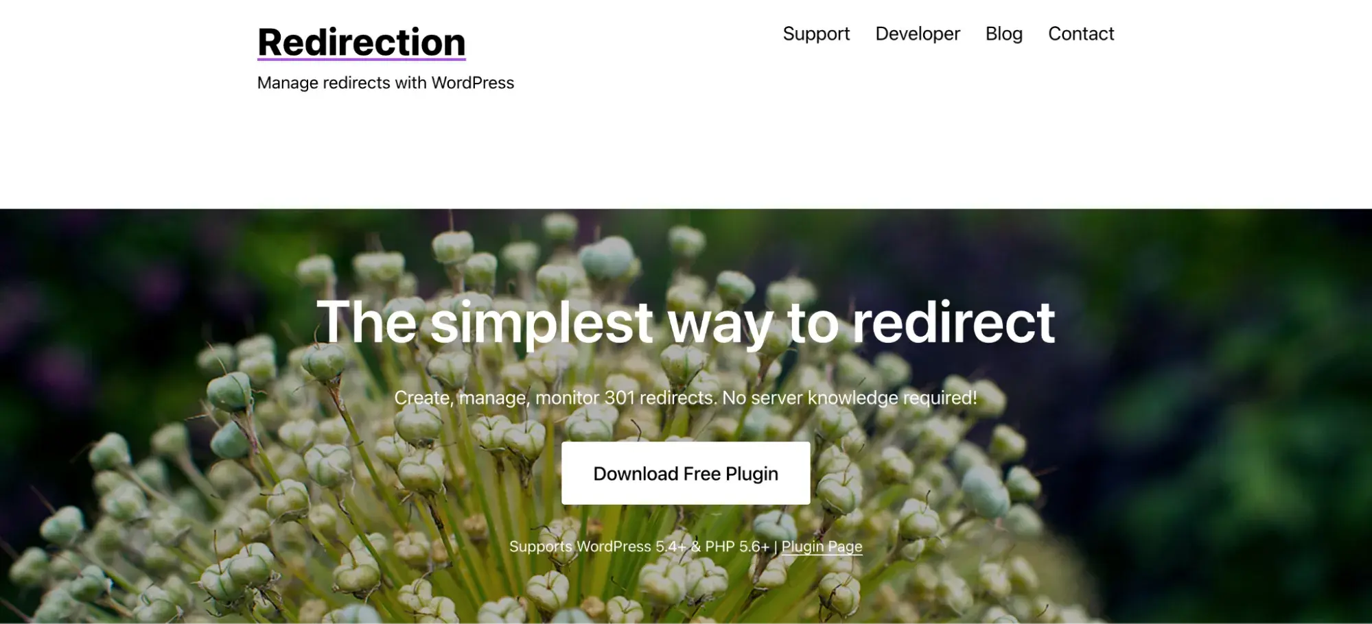 redirection plugin for wordpress domain redirection